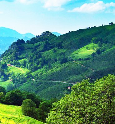 Kodaikanal